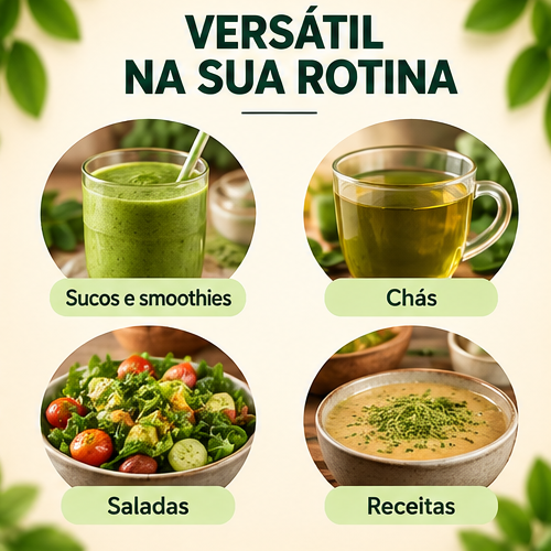 Chá de Moringa em Pó X Roots