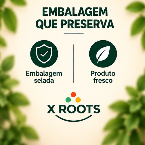 Chá de Moringa em Pó X Roots