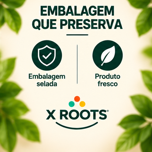 Castanha de Caju W1 X Roots