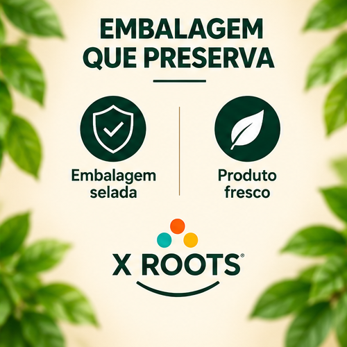 Canela em Pó de Ceilão X Roots
