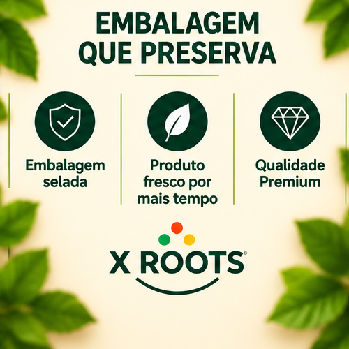Ameixa Sem Caroço X Roots