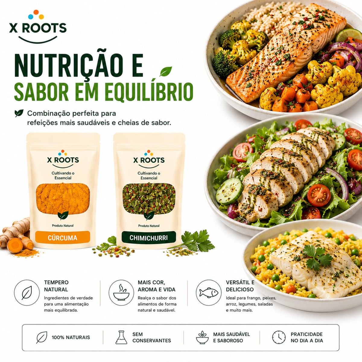 Kit Temperos Fit & Airfryer X Roots