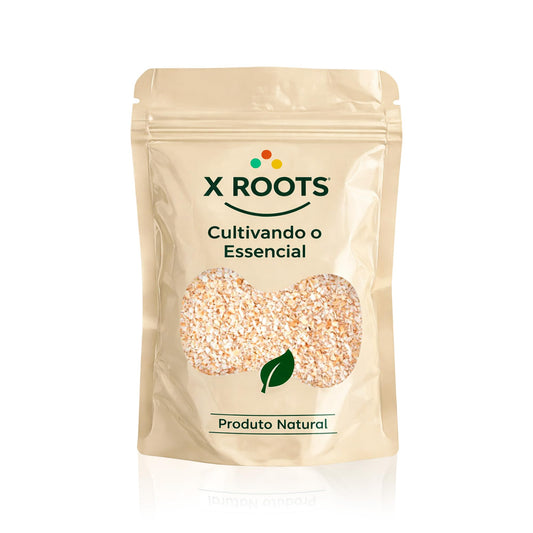 Aveia em Flocos Finos Sem Glúten X Roots