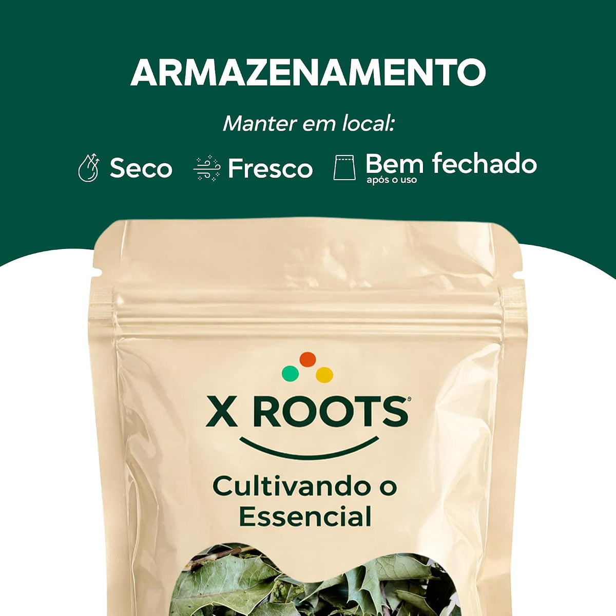 Espinheira Santa X Roots