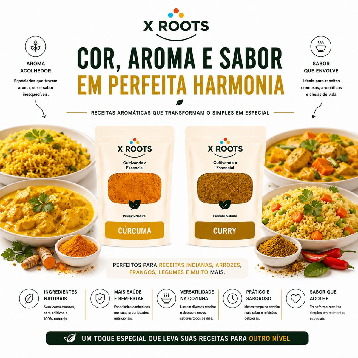 Kit Temperos Clássicos X Roots
