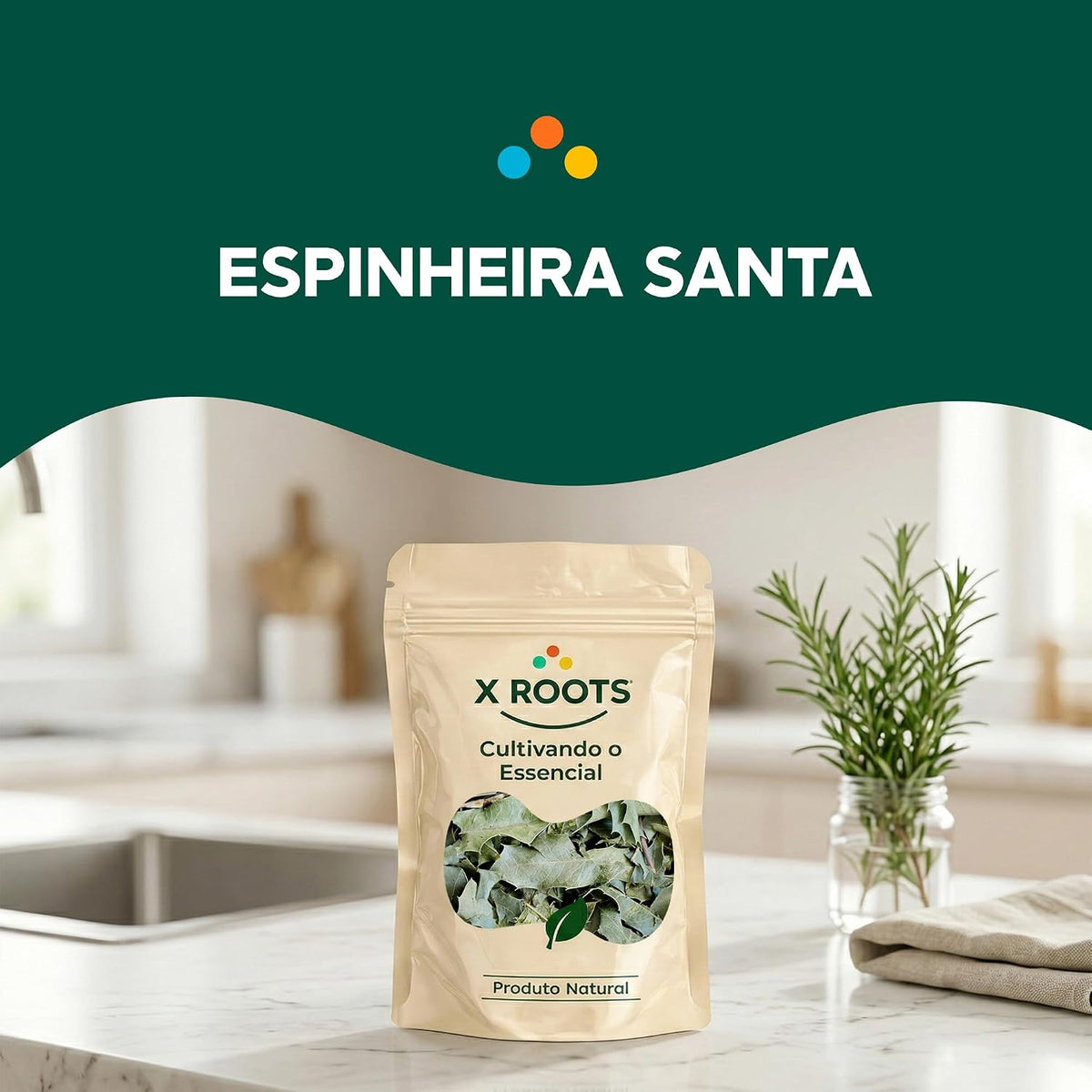Espinheira Santa X Roots