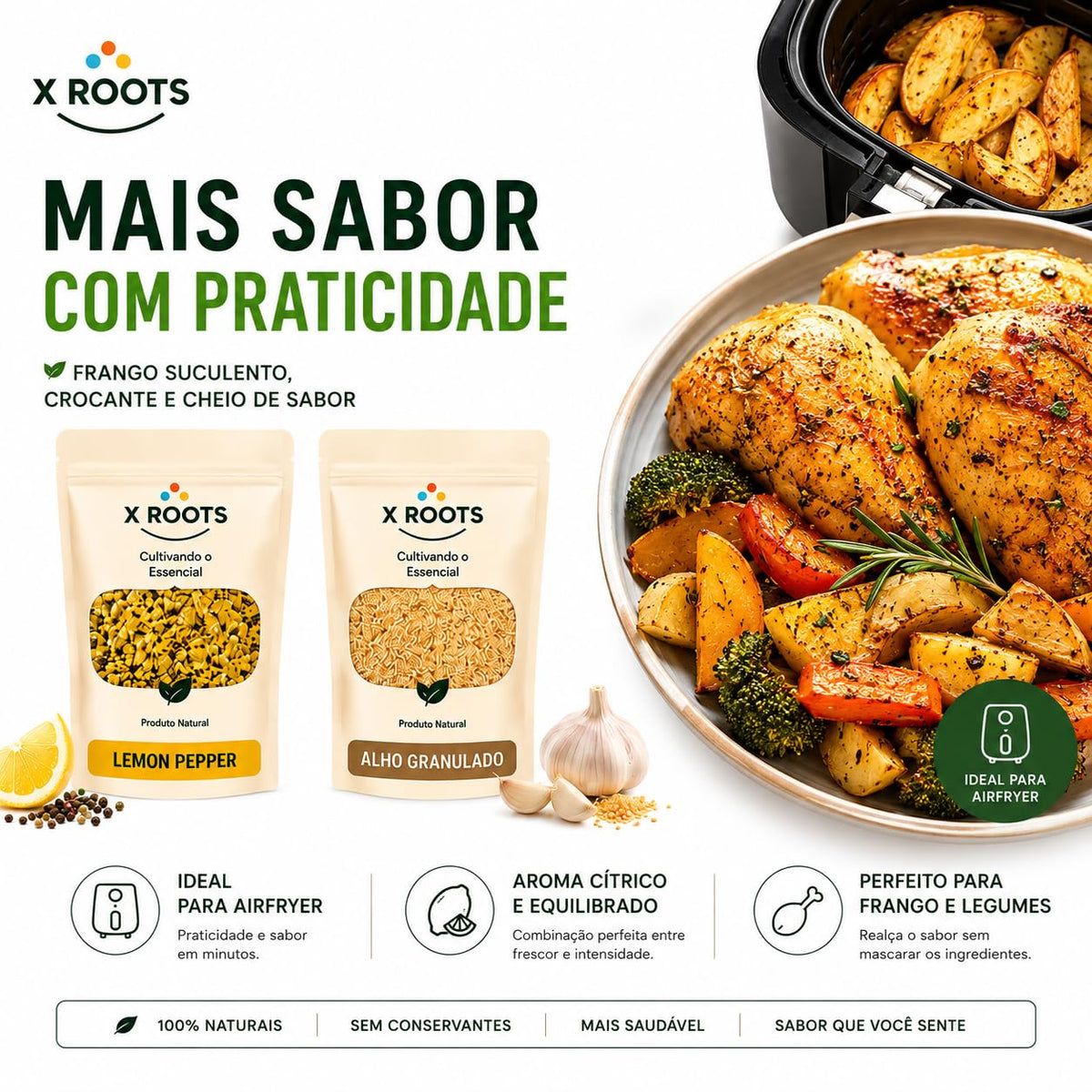 Kit Temperos Fit & Airfryer X Roots