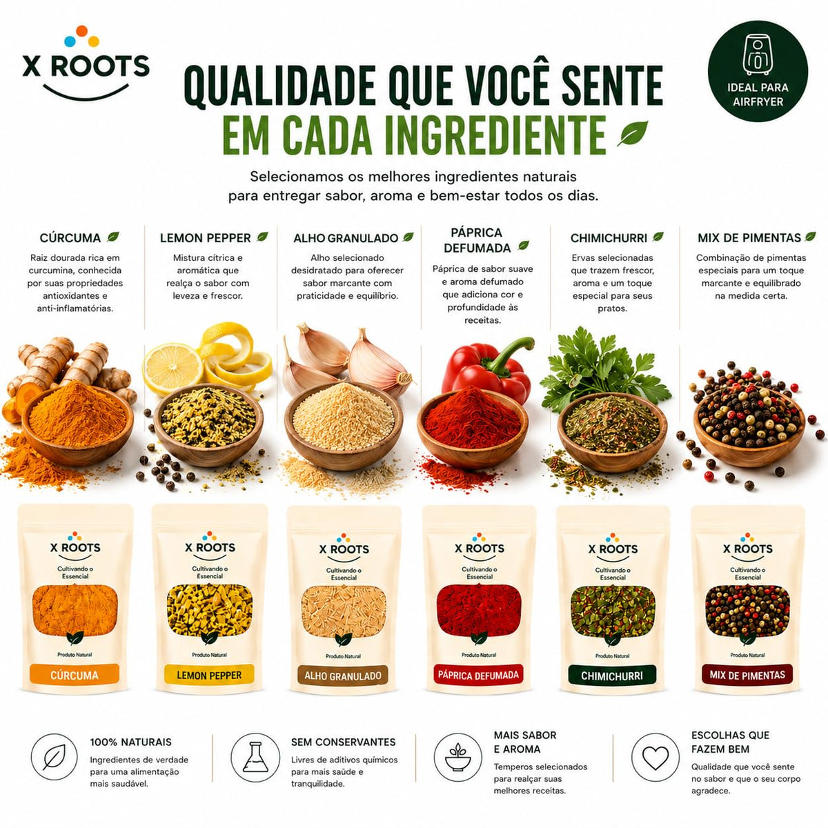 Kit Temperos Fit & Airfryer X Roots