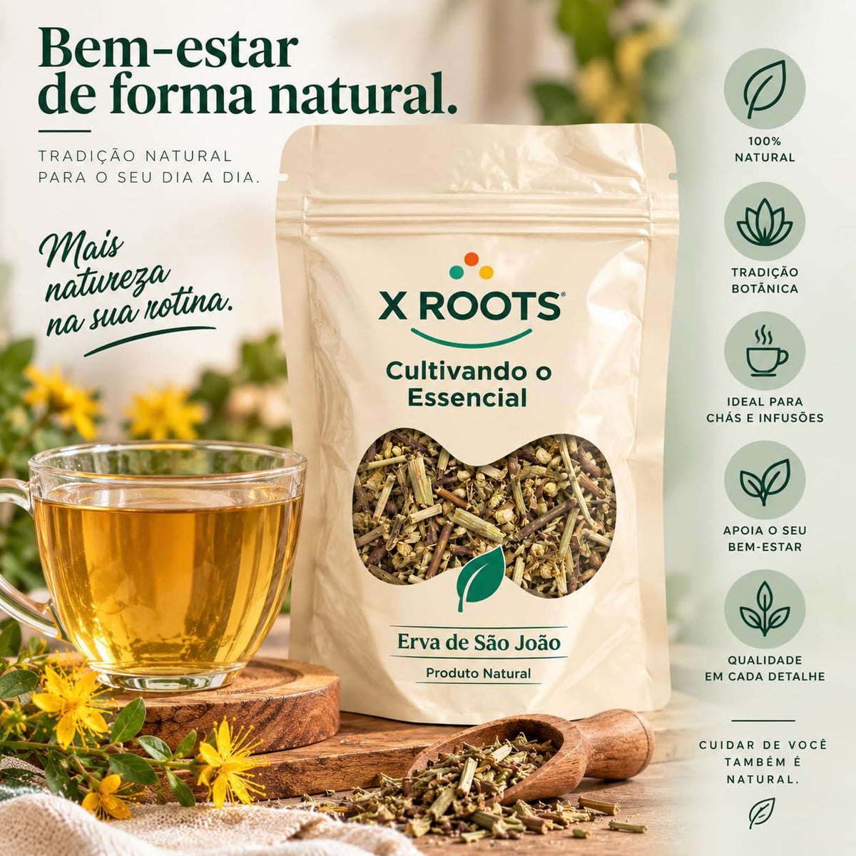 Chá Erva de São João X Roots
