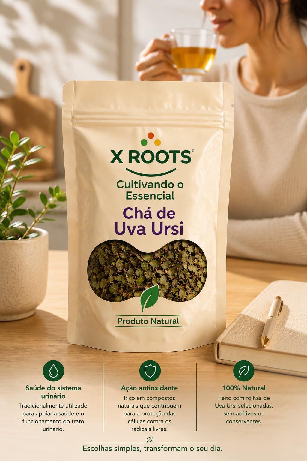 Chá de Uva Ursi X Roots