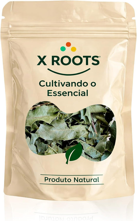 Espinheira Santa X Roots