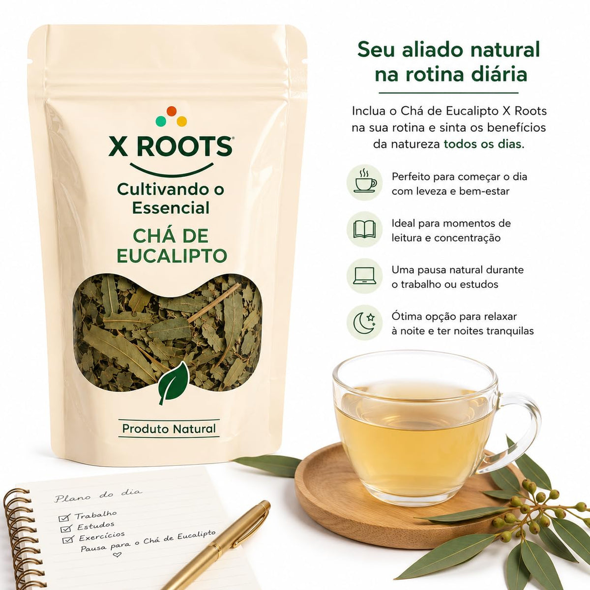 Chá de Eucalipto X Roots