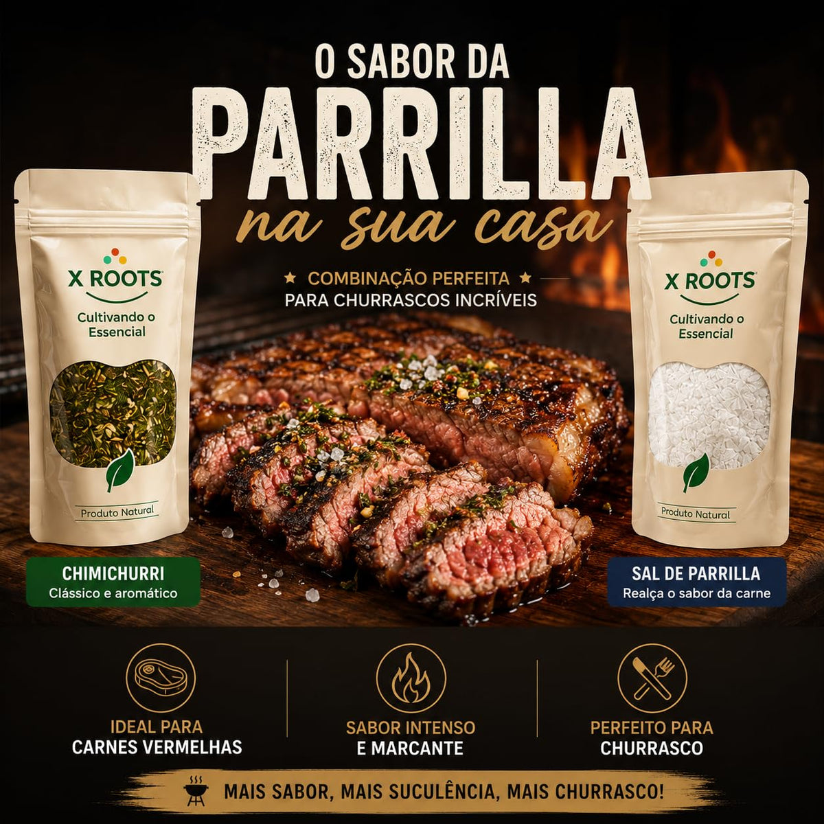 Kit Temperos para Churrasco X Roots