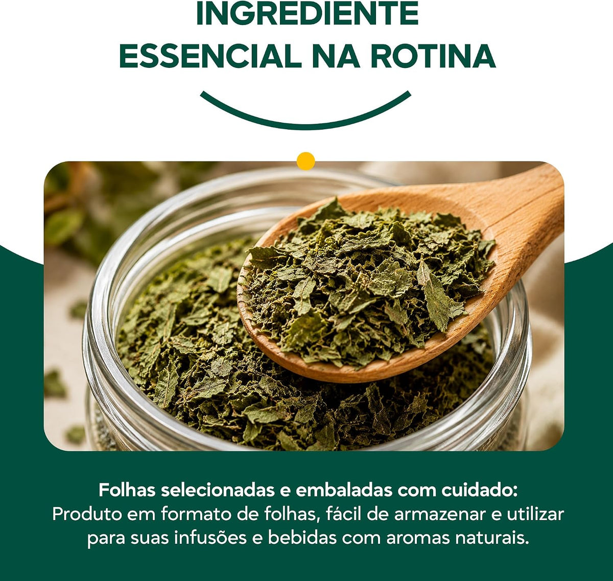 Espinheira Santa X Roots