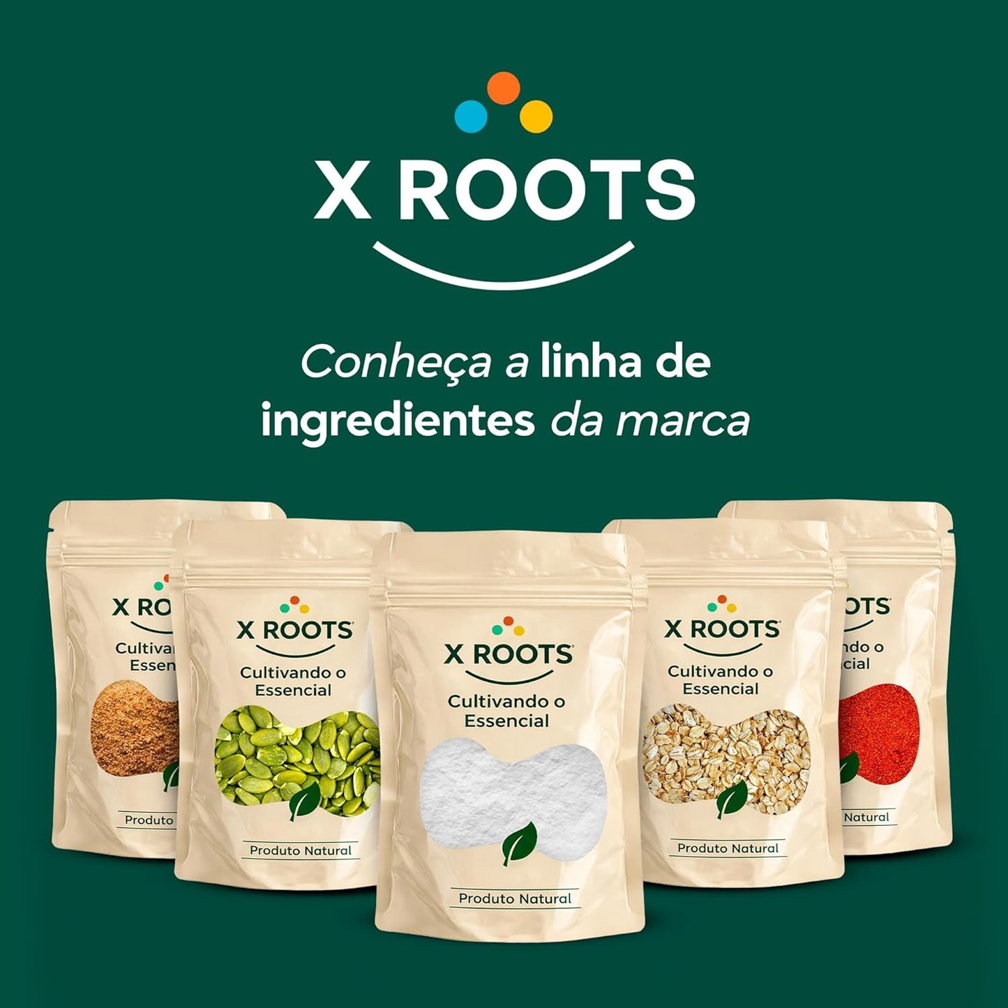 Açúcar de Coco Importado em Pó X-Roots – Adoçante Natural de Baixo Índice Glicêmico