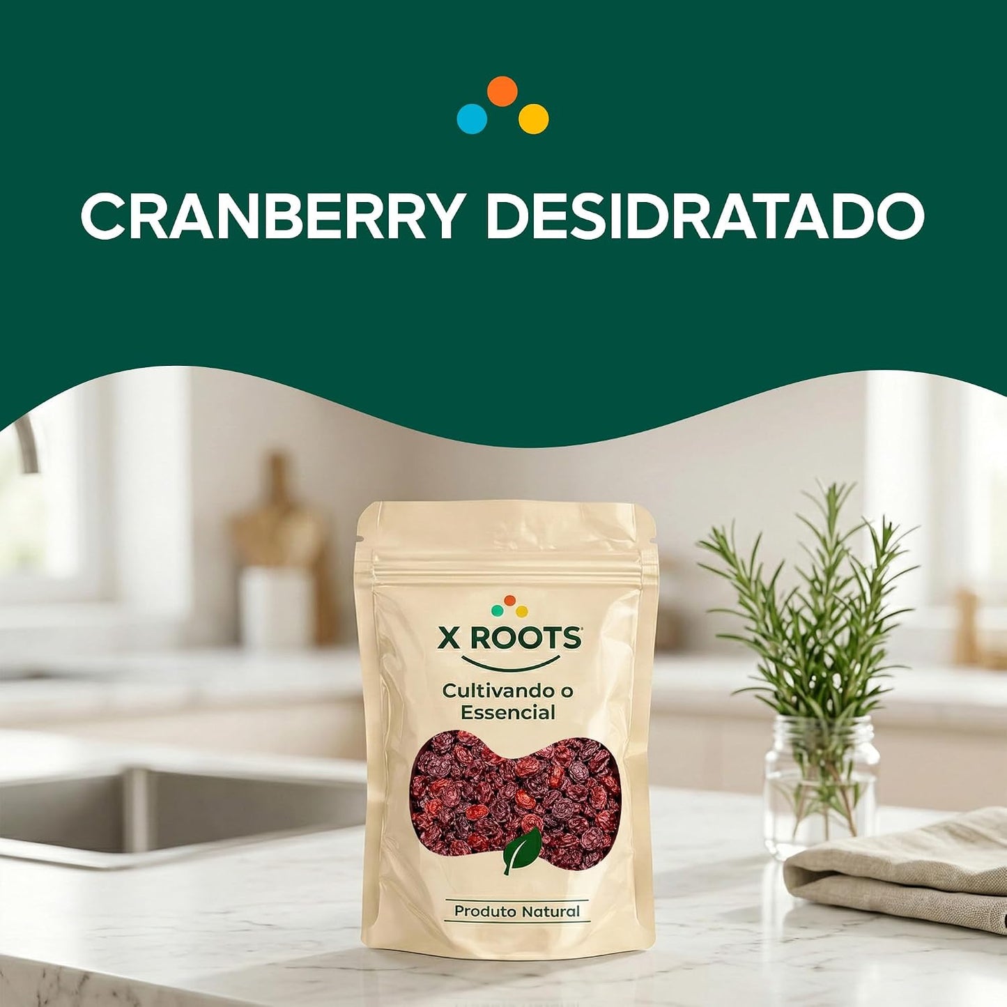 Cranberry Desidratado Importado X-Roots – Superfruta Antioxidante