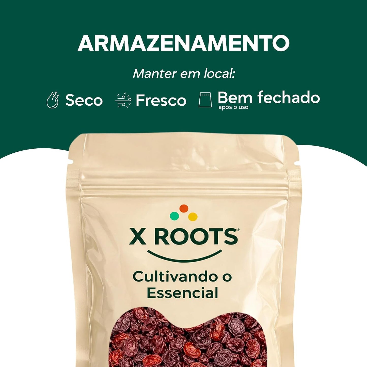 Cranberry Desidratado Importado X-Roots – Superfruta Antioxidante