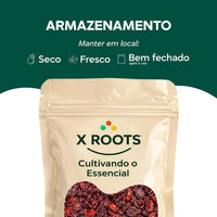 Cranberry Desidratado Importado X-Roots – Superfruta Antioxidante