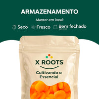 Damasco Turco Desidratado X-Roots – Frutos Nobres, Macios e Suculentos
