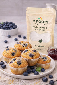 Frutose X-Roots – Adoçante Natural de Frutas com Alto Poder Adoçante