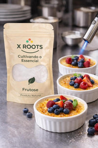 Frutose X-Roots – Adoçante Natural de Frutas com Alto Poder Adoçante