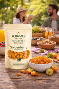 Goldenberry Desidratada X-Roots – Superfruta Exótica Agridoce, Rica em Fibras e Antioxidantes