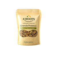 Granola Proteica com Sementes X-Roots – Mix Crocante de Grãos