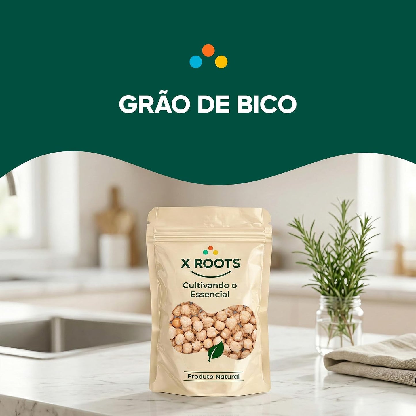Grão de Bico Argentino Extra Grande 12mm X-Roots