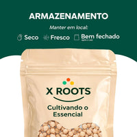Grão de Bico Argentino Extra Grande 12mm X-Roots