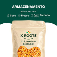 Semente de Linhaça Dourada X-Roots 