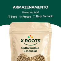 Semente de Girassol Torrada Sem Sal X-Roots