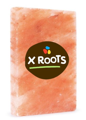 Placa de Sal Rosa 20x30 5kg - Xroots